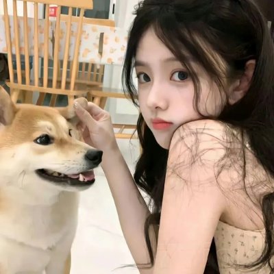 追星星的人第三季